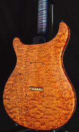 Paul Reed Smith Private Stock Custom 24 McCarty Thickness Northern Lights Project #1-Brian's Guitars