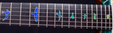 Paul Reed Smith Private Stock Custom 24 Singlecut Thickness Laguna Dragon's Breath-Brian's Guitars