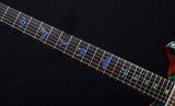 Paul Reed Smith Private Stock Custom 24 Singlecut Thickness Laguna Dragon's Breath-Brian's Guitars