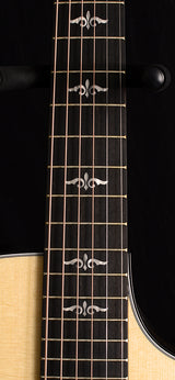 Taylor E14ce V-Class Ebony Limited Edition
