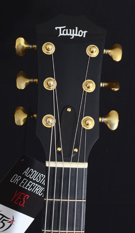 Taylor Custom T5z Ovangkol-Brian's Guitars