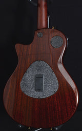 Taylor Custom T5z Ovangkol-Brian's Guitars