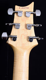 Used Paul Reed Smith CE 24 Trampas Green-Brian's Guitars