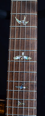 Used Paul Reed Smith Private Stock Singlecut #348 Brazilian-Brian's Guitars