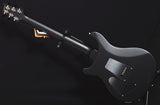 Paul Reed Smith Floyd Custom 24 Black Satin-Brian's Guitars