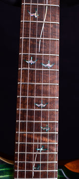 Paul Reed Smith Private Stock Paul's Guitar Rainforest Glow-Brian's Guitars