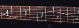 Paul Reed Smith Private Stock Paul's Guitar Rainforest Glow-Brian's Guitars