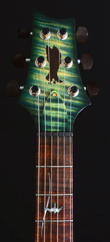 Paul Reed Smith Private Stock Paul's Guitar Rainforest Glow-Brian's Guitars