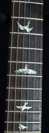 Used Paul Reed Smith Wood Library Custom 24 Bonnie Pink-Brian's Guitars