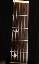 Paul Reed Smith Private Stock Modern Eagle V Stoptail Zombie Sky Brian's Guitars 10th Anniversary