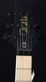 Paul Reed Smith DW CE 24 ÒFloydÓ Limited Edition Waring Burst-Brian's Guitars