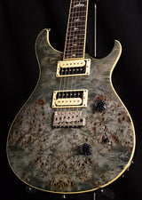 Paul Reed Smith SE Custom 24 Poplar Burl Whale Blue-Electric Guitars-Brian's Guitars