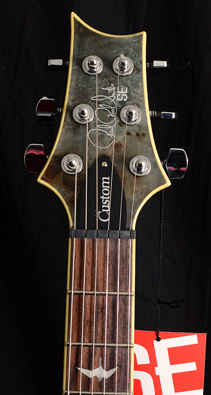 Paul Reed Smith SE Custom 24 Poplar Burl Whale Blue-Electric Guitars-Brian's Guitars