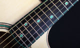 Paul Reed Smith Private Stock Angelus Blue Tortuga-Brian's Guitars
