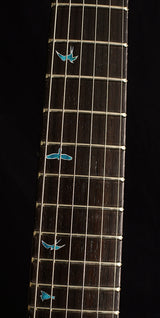 Paul Reed Smith Private Stock Modern Eagle V Sub-Zero Glow Smoked Burst Brian's Guitars 10th Anniversary