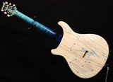 Paul Reed Smith Private Stock Modern Eagle V Sub-Zero Glow Smoked Burst Brian's Guitars 10th Anniversary