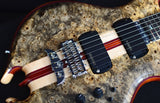 Alembic Darling Buckeye Burl-Brian's Guitars
