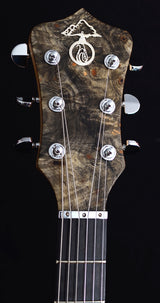 Alembic Darling Buckeye Burl-Brian's Guitars