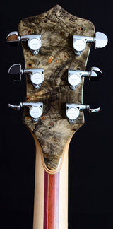 Alembic Darling Buckeye Burl-Brian's Guitars