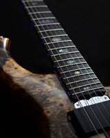 Alembic Darling Buckeye Burl-Brian's Guitars