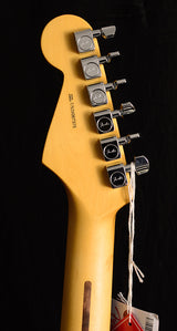 Fender American Professional II Stratocaster Roasted Pine