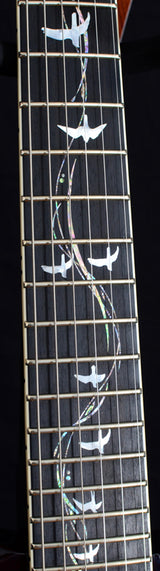 Paul Reed Smith 30th Anniversary Vine McCarty Limited One Off Black Gold-Brian's Guitars