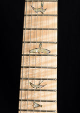 Paul Reed Smith Wood Library Paul's Guitar Brian's Limited Faded Blue Jean-Brian's Guitars