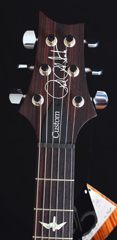Paul Reed Smith Custom 24 Semi-Hollow Amethyst-Brian's Guitars