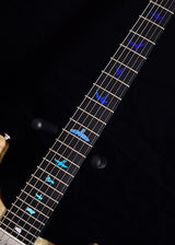 Paul Reed Smith Private Stock Custom 24 Iceberg Fade-Brian's Guitars