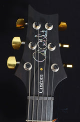 Paul Reed Smith Artist Custom 24 Charcoal Purple Burst-Brian's Guitars