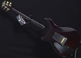 Paul Reed Smith Artist Custom 24 Charcoal Purple Burst-Brian's Guitars