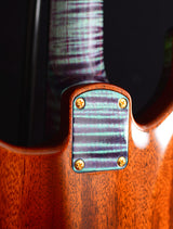 Paul Reed Smith Private Stock Brent Mason Northern Lights-Brian's Guitars