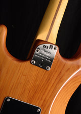 Fender American Professional II Stratocaster Roasted Pine