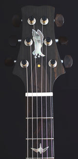 Paul Reed Smith Private Stock DC245 Tiger Eye Smokeburst-Brian's Guitars