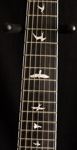 Paul Reed Smith SE Mark Holcomb SVN Holcomb Burst-Brian's Guitars