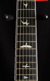 Paul Reed Smith SE Mark Holcomb SVN Holcomb Burst-Electric Guitars-Brian's Guitars