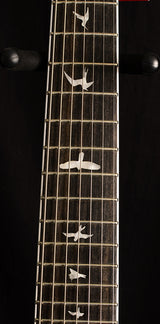 Paul Reed Smith SE Mark Holcomb SVN Holcomb Burst-Brian's Guitars