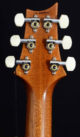 Paul Reed Smith DGT David Grissom Purple Metallic-Brian's Guitars