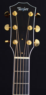 Used Taylor RH-LTD Running Horses Limited-Brian's Guitars