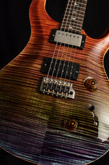 Paul Reed Smith Wood Library Artist Custom 24 Brian's Guitars 10th Anniversary Limited Zombie Fade