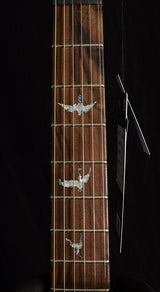 Paul Reed Smith Wood Library Artist Custom 24 Brian's Guitars 10th Anniversary Limited Laguna