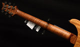 Paul Reed Smith Wood Library Artist Custom 24 Brian's Guitars 10th Anniversary Limited Laguna
