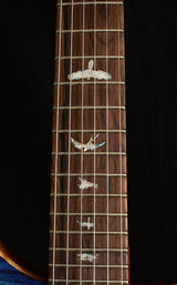 Paul Reed Smith Wood Library Artist Custom 24 Brian's Guitars 10th Anniversary Limited Laguna