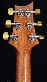 Paul Reed Smith Custom 24 Piezo Trampas Green-Brian's Guitars