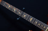 Paul Reed Smith Private Stock McCarty Trem Spalted Maple-Brian's Guitars