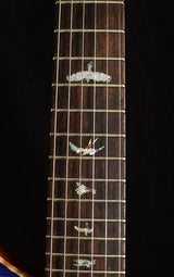 Paul Reed Smith Wood Library Artist Custom 24 Brian's Guitars 10th Anniversary Limited Laguna