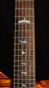 Paul Reed Smith Wood Library Artist Custom 24 Brian's Guitars 10th Anniversary Limited Zombie Fade
