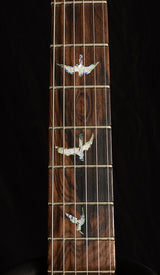 Paul Reed Smith Wood Library Artist Custom 24 Brian's Guitars 10th Anniversary Limited Zombie Fade