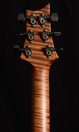 Paul Reed Smith Wood Library Artist Custom 24 Brian's Guitars 10th Anniversary Limited Zombie Fade