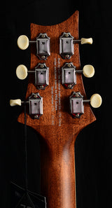 Paul Reed Smith SE Tonare P20E Powder Blue